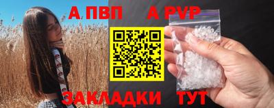 амф Гатчина