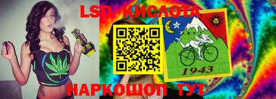 амф Гатчина