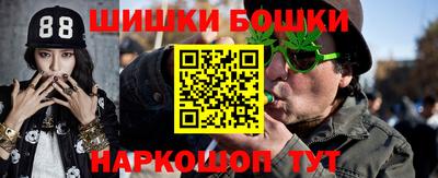 шишки Аргун