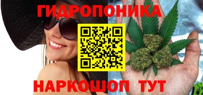 Альфа ПВП Гагарин