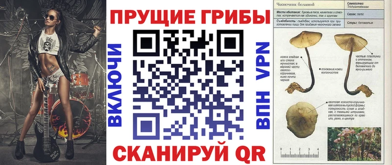 Галлюциногенные грибы мицелий  Дмитров 