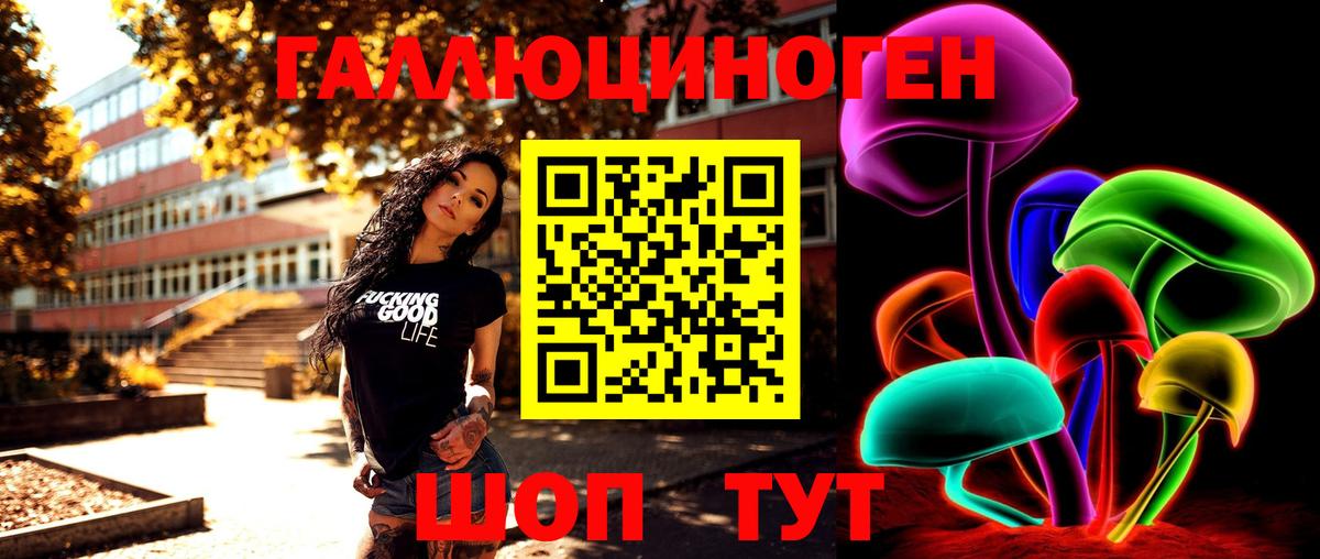 Псилоцибиновые грибы GOLDEN TEACHER  Дмитров 