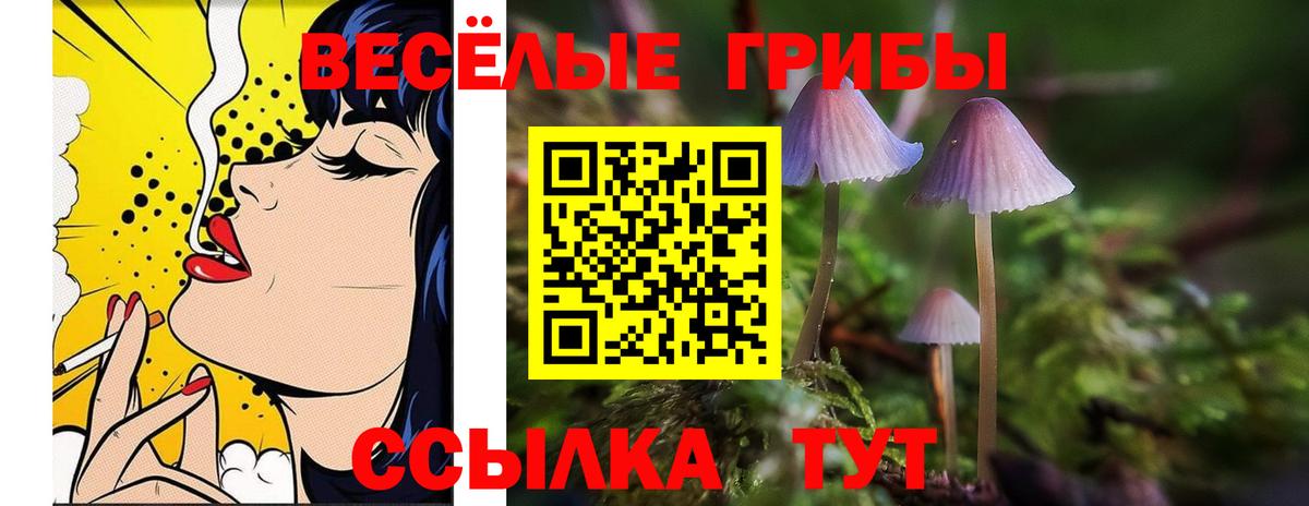 Галлюциногенные грибы Psilocybine cubensis  Вход с VPN  Галлюциногенные грибы мухоморы  Дмитров 